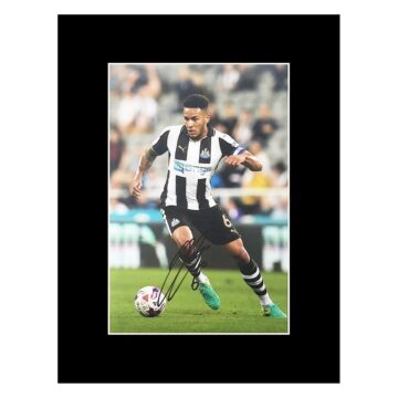 Signed Jamaal Lascelles Photo Display - Newcastle Autograph