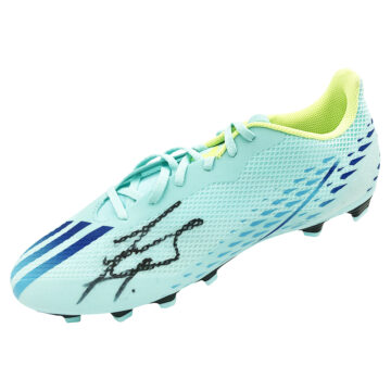 Signed Javier Zanetti Football Boot - Champions League Winner 2010