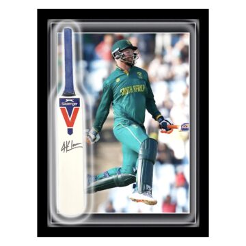 Signed Heinrich Klaasen Mini Bat Framed Dome - South Africa Icon