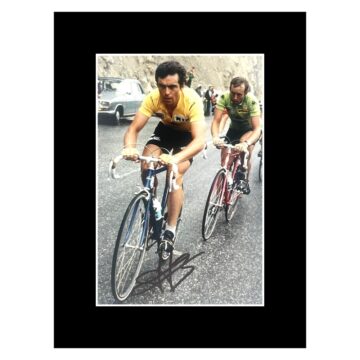 Signed Bernard Hinault Photo Display - 8x6 Tour De France Icon