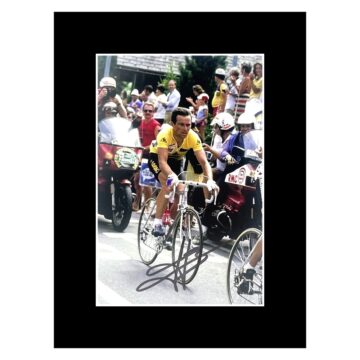 Signed Bernard Hinault Photo Display - 8x6 Tour De France Autograph