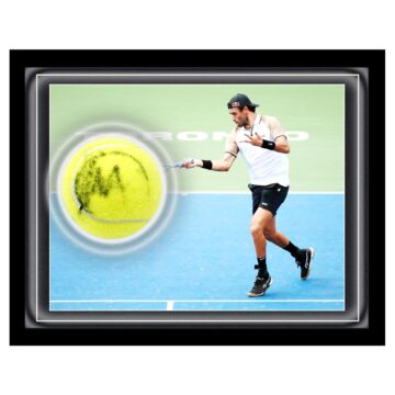 Signed Matteo Berrettini Ball Framed Dome - Tennis Icon